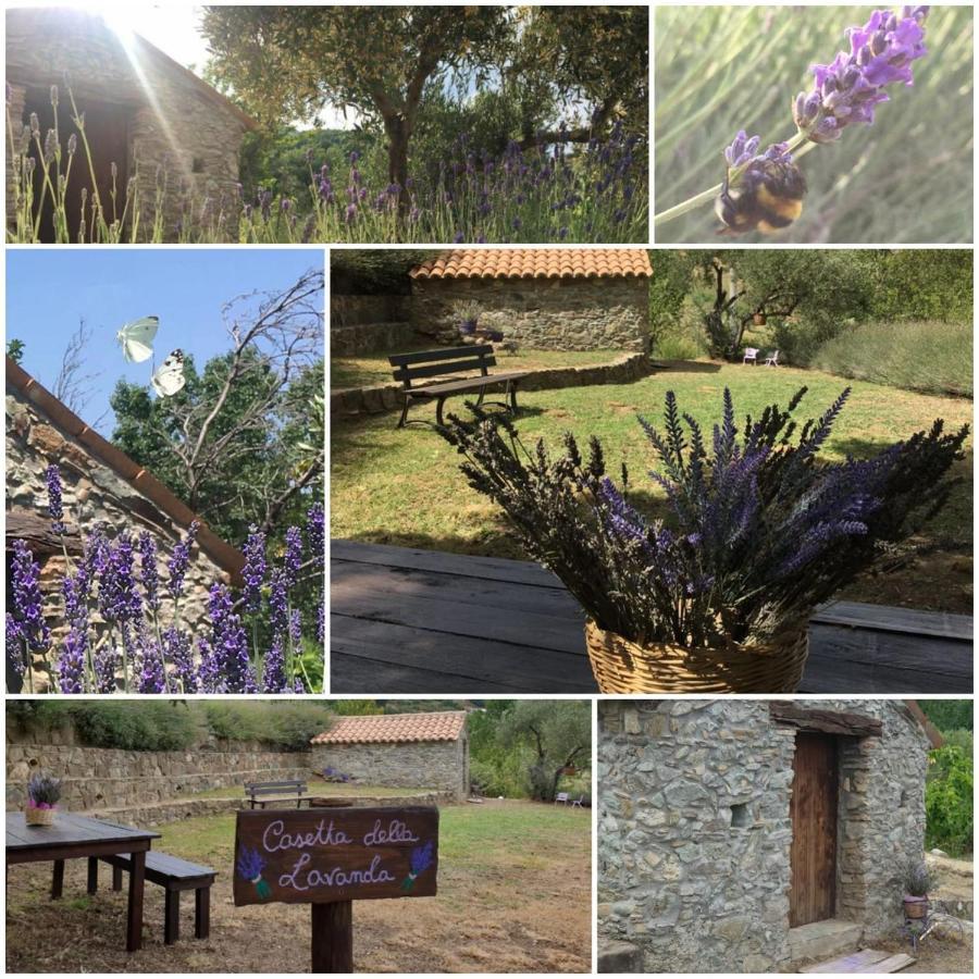 Agri Art Villa San Benedetto Ullano Bagian luar foto