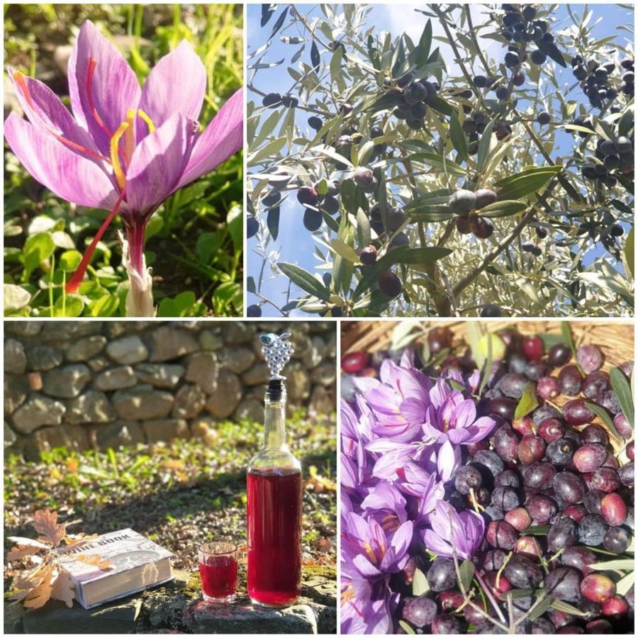 Agri Art Villa San Benedetto Ullano Bagian luar foto