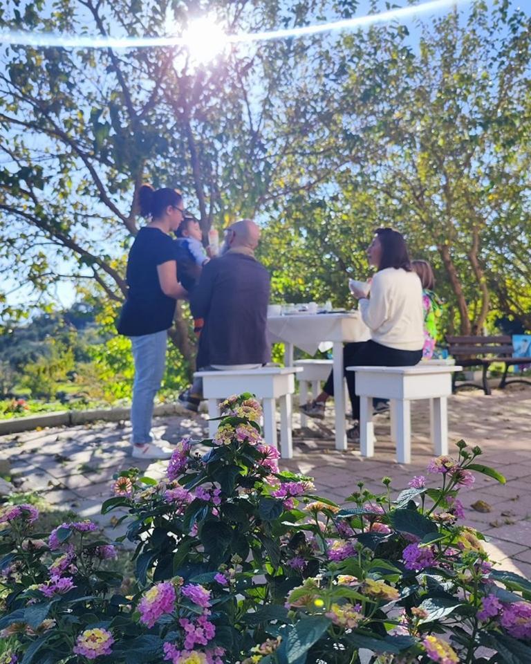 Agri Art Villa San Benedetto Ullano Bagian luar foto